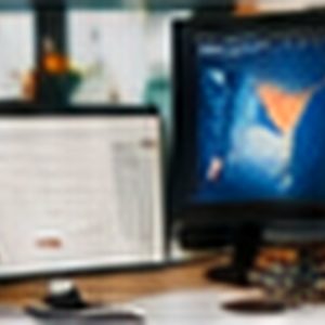 Information Technology Support